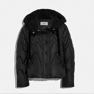Coach Black Puffer Jacket with Hood and High Collar